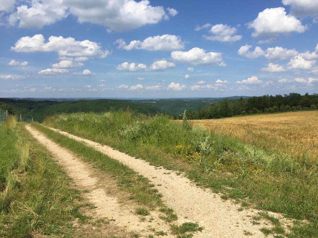 Gites Oasis Du Lot Payrac Екстер'єр фото
